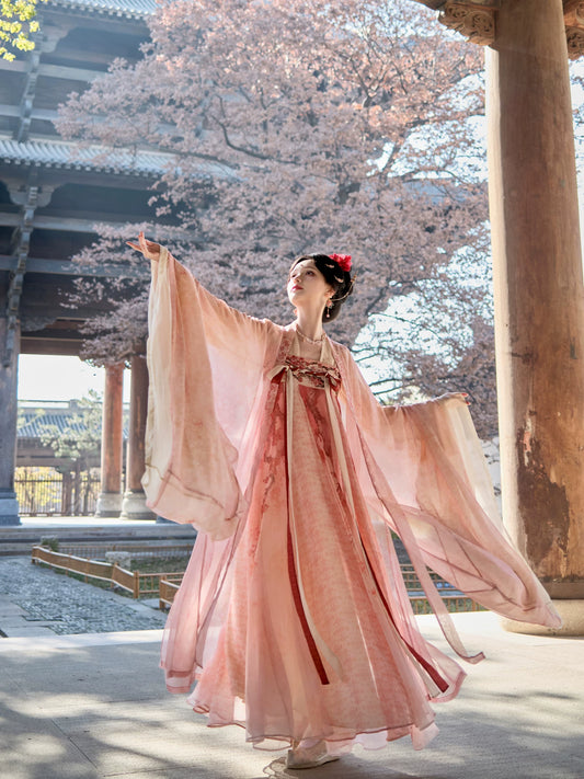 More than thirteen [Plum & Moon Ripple] Tang HanfuDress tang HanFuDreams