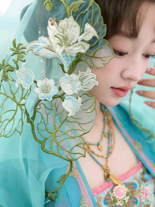 More than thirteen [Butterfly & Spring Creek] Embroidered Cape Hanfu tang HanFuDreams