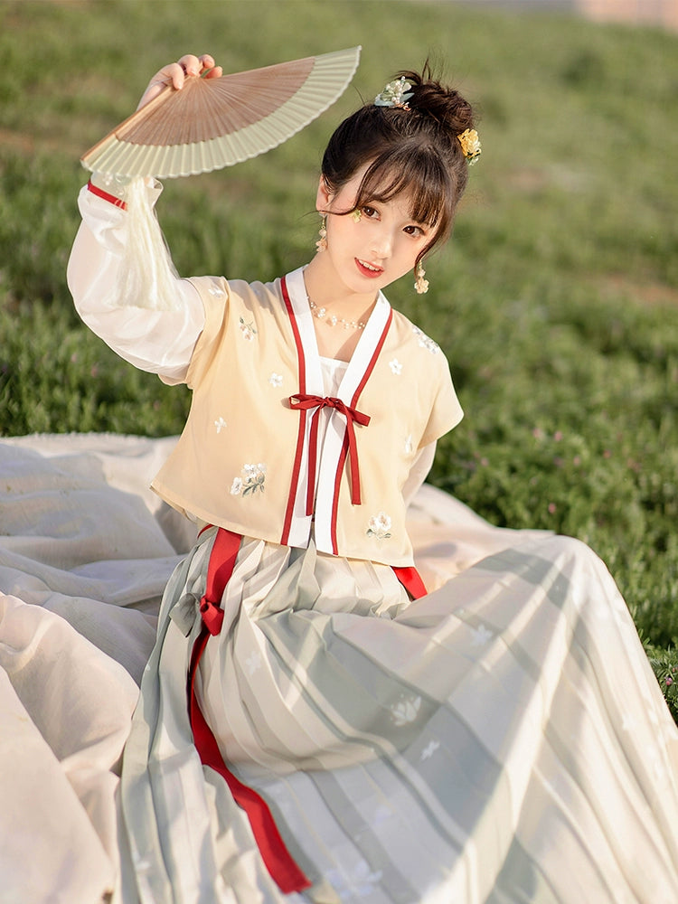 Tang Beizi T-shirt pleated skirt Hanfu tang HanFuDreams