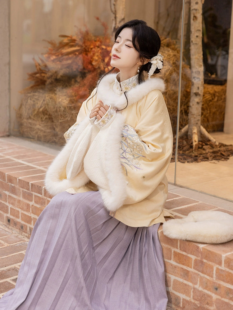 Chi Xia [Qingyuan] Ming Zhaojun jacket pipa sleeve short jacket pleated skirt