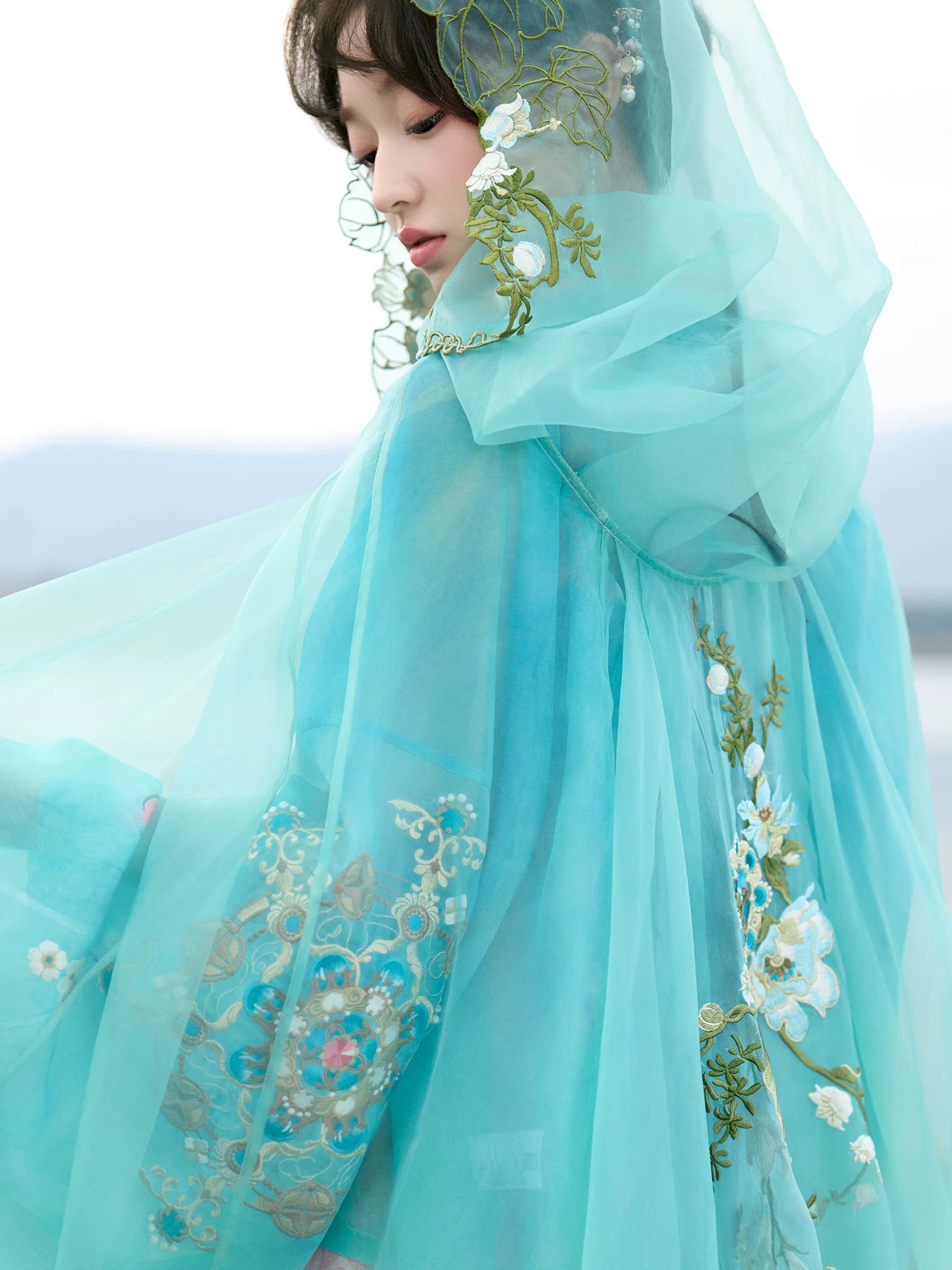 [Butterfly & Spring Creek] Embroidered Cape Hanfu tang HanFuDreams