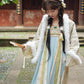 More than thirteen [streams and raccoons] in a jacket and chest-length skirt Tang-made Hanfu tang HanFuDreams